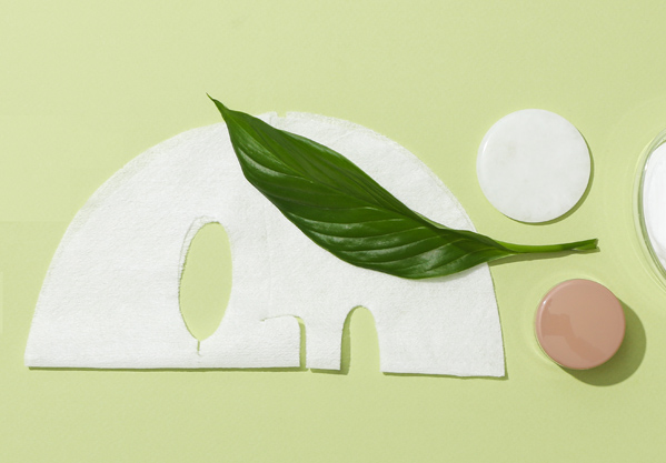Masque en feuille